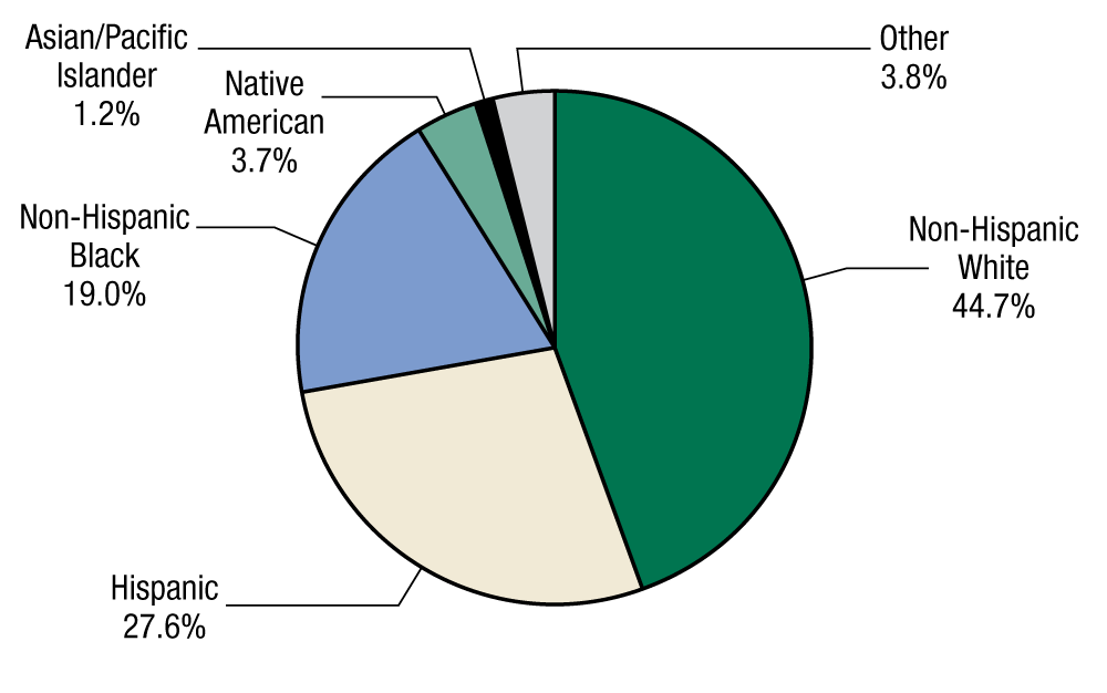 This pie chart shows the percentages of adolescent discharges from substance abuse treatment, by race/ethnicity, in 2011. In 2011, 44.7 percent of adolescent discharges from substance abuse disorder treatment were Non-Hispanic White, 27.6 percent were Hispanic, 19.0 percent were Non-Hispanic Black, 3.7 percent were Native American, 1.2 percent were Asian/Pacific Islander, and 3.8 percent were Other.