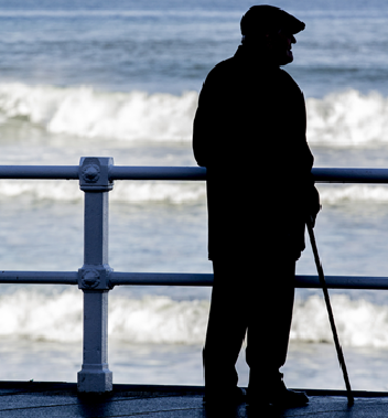 [ Click Here to Enter an Alternate Text for this Image ]