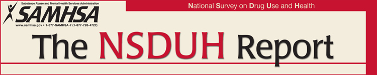 Banner image for National Survey on Drug Use and Health (NSDUH) Report