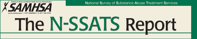 Banner image for National Survey of Substance Abuse Treatment Services (N-SSATS) Report