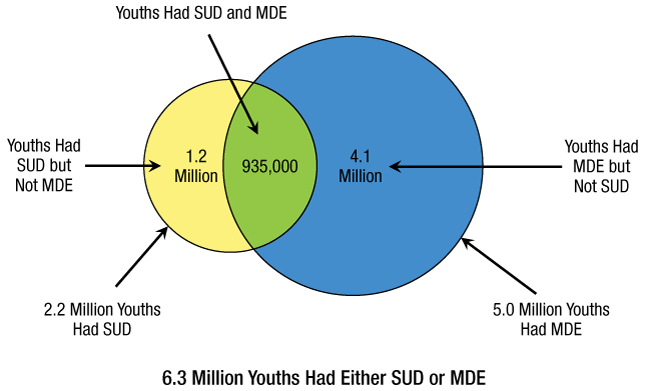 Figure 43. Click 'D' link to access long description.